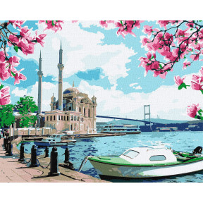 Яскравий Стамбул Картина за номерами Ідейка Полотно на підрамнику 40х50 см KHO2757