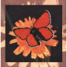 Бабочка Схема для вышивки бисером Alisena B-1039a