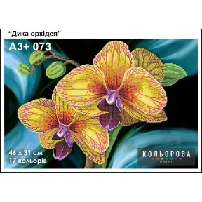 Дикая орхидея Схема для вышивания бисером ТМ КОЛЬОРОВА А3+ 073