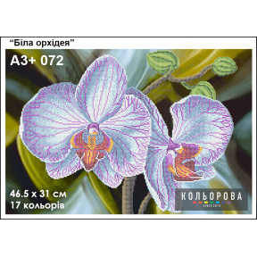 Белая орхидея Схема для вышивания бисером ТМ КОЛЬОРОВА А3+ 072