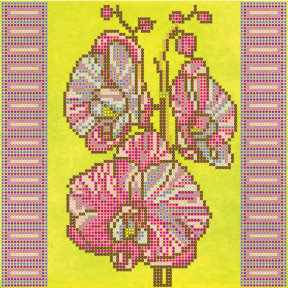 Орхидеи Схема для вышивки бисером Абрис Арт AC-034