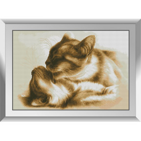 Котячі ніжності Набір алмазного живопису Dream Art 31754D