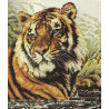 Набір для вишивання Janlynn 106-0059 Tiger фото