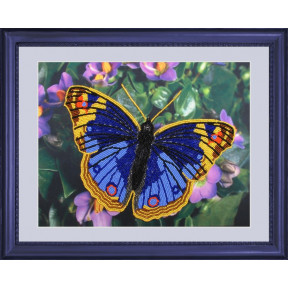 Набор для вышивания бисером Butterfly 101 Бабочка