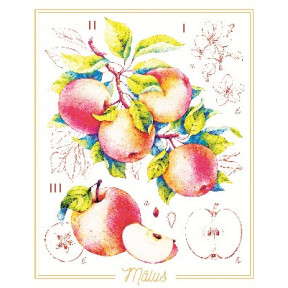 Яблоки Принт для художественной вышивки Alisena AL1041а