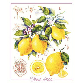 Лимоны Принт для художественной вышивки Alisena AL1042а