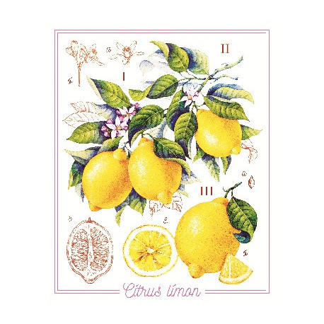 Лимоны Принт для художественной вышивки Alisena AL1042а фото
