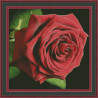 Червона троянда Електронна схема для вишивання хрестиком КВ-0001
