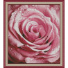 Розовая роза Электронная схема для вышивания крестиком КВ-0029ИХ