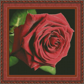 Красная роза Электронная схема для вышивания крестиком  КВ-0041ИХ
