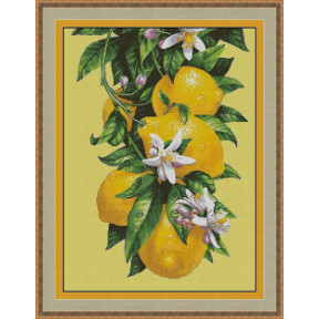 Квітучий лимон Електронна схема для вишивання хрестиком Н-0024ИХ