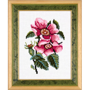 Цветы шиповника Набор для вышивания крестом Чарівниця N-1501