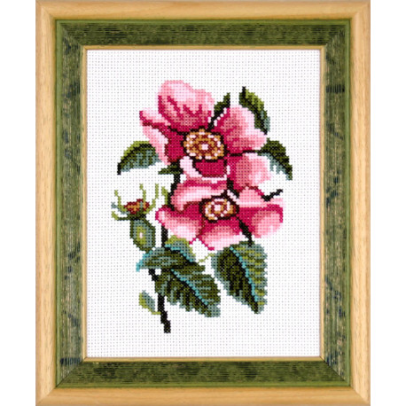 Цветы шиповника Набор для вышивания крестом Чарівниця N-1501