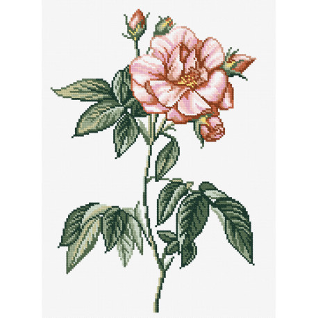 П.-Ж. Редуті. Французька троянда Набір для вишивання хрестиком Чарівниця N-3034