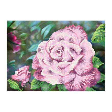 Рисунок на ткани Повитруля Б6 13 Королева сада.Розовая фото