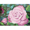 Рисунок на ткани Повитруля Б6 13 Королева сада.Розовая фото