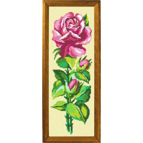 Розовая роза Набор для вышивания крестом с мулине Чарівниця BS-12
