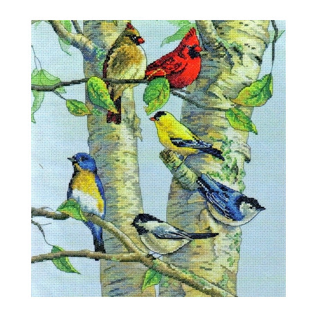 Набор для вышивания Dimensions 35252 Birch Tree Birds фото
