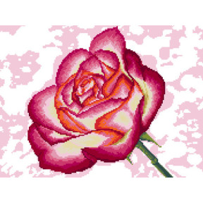 Душистая роза Ткань для вышивания с нанесённым рисунком Orchidea O-2435