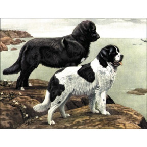Собаки-спасатели: сенбернар и ньюфаундленд Ткань для вышивания с нанесённым рисунком Orchidea O-028