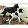 Собаки-рятувальники: сенбернар та ньюфаундленд Тканина для вишивання з нанесеним малюнком Orchidea O-028