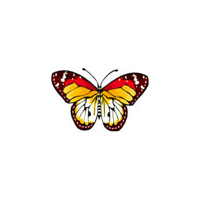 Тропическая бабочка Ткань для вышивания с нанесённым рисунком Orchidea O-385