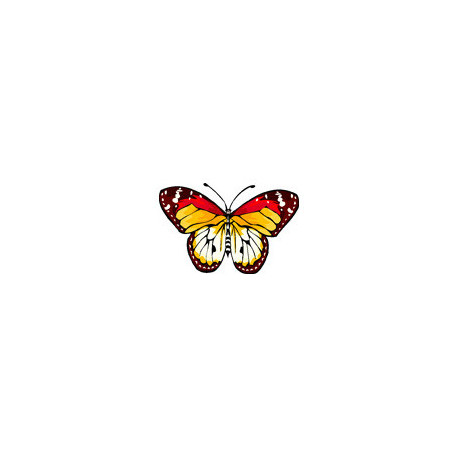 Тропічний метелик Тканина для вишивання з нанесеним малюнком Orchidea O-385