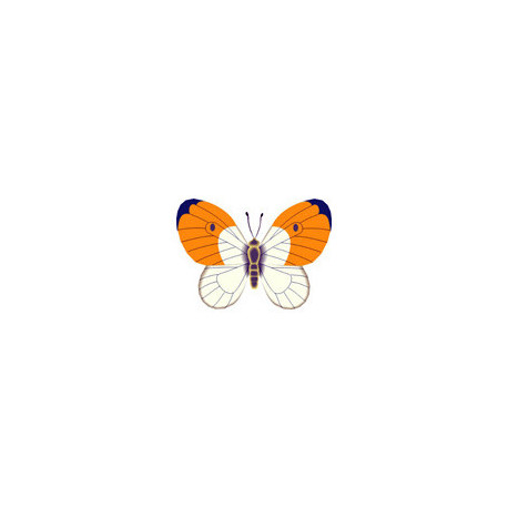 Зорька Тканина для вишивання з нанесеним малюнком Orchidea O-307