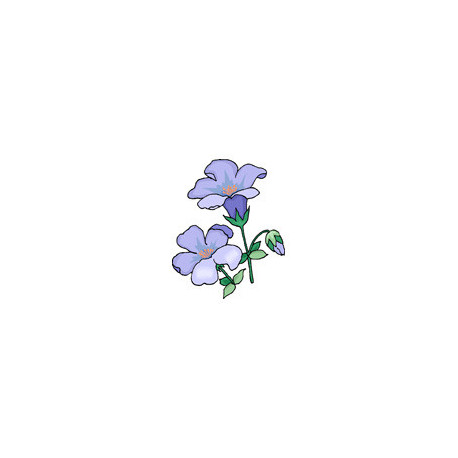 Квіти-дзвіночки Тканина для вишивання з нанесеним малюнком Orchidea O-331