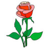 Красная роза Ткань для вышивания с нанесённым рисунком Orchidea O-332