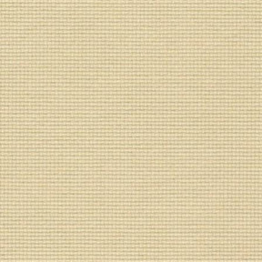 Aida extra fine 20 (55х70см) Тканина для вишивання Zweigart 3326/309