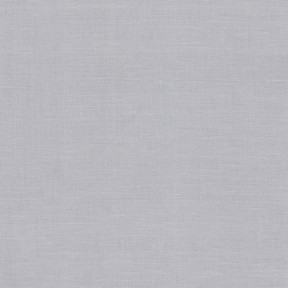 Kingston 56 (ширина 180см) жемчужно-серый Ткань для вышивания Zweigart 3225/705