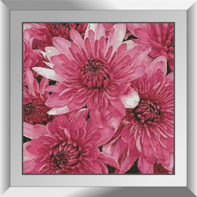 Рожеві хризантеми Набір алмазного живопису Dream Art 31868D