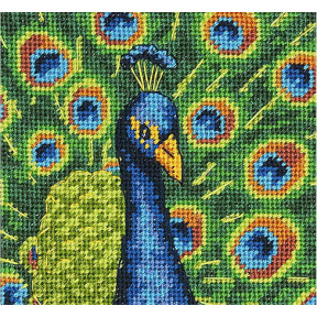 Набор для вышивания  Dimensions 71-07242 Colorful Peacock