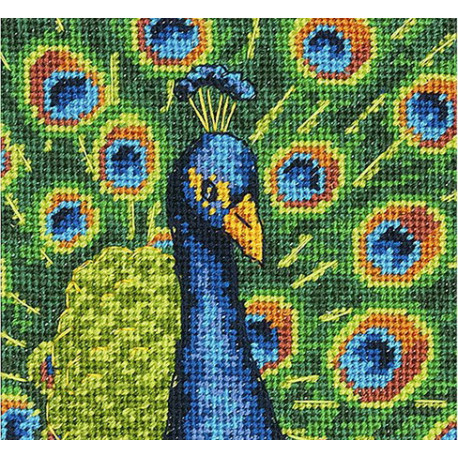 Набор для вышивания Dimensions 71-07242 Colorful Peacock фото